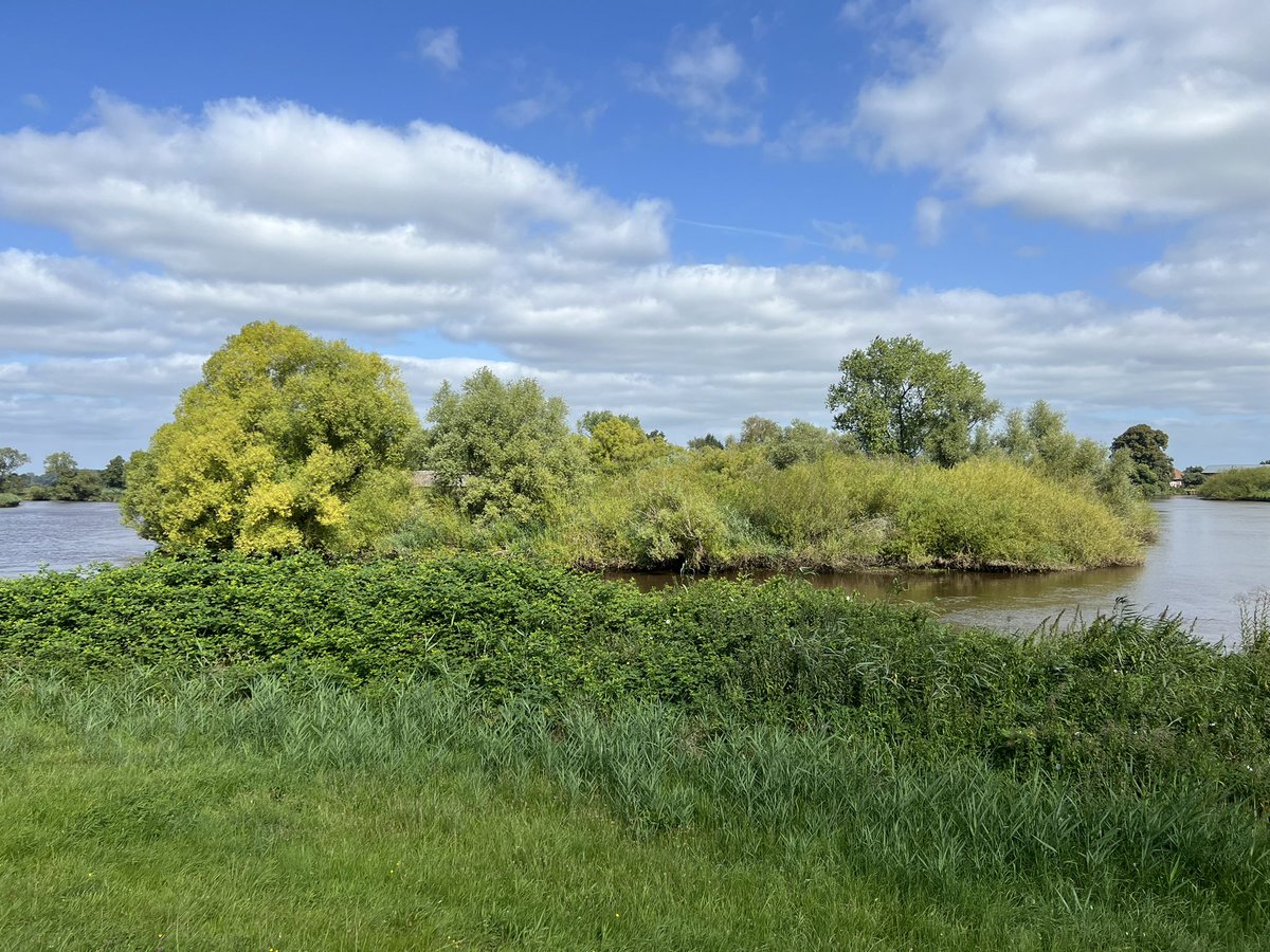 EC_NL's tweet photo. Vanochtend de @loopmaatjes👟 aan voor 32,6km zomer-duurloop🥵🌤️ @bremen_de #Blockland, maar ik moest het laatste stuk wandelen ivm kuitpijn…😢 Nou ja, de omgeving was wél mooi, favoriet bij @hardloopvriend'en en @fietsmaatjes. @Lopen_is_leuk toch! https://t.co/D3Trs2npUz