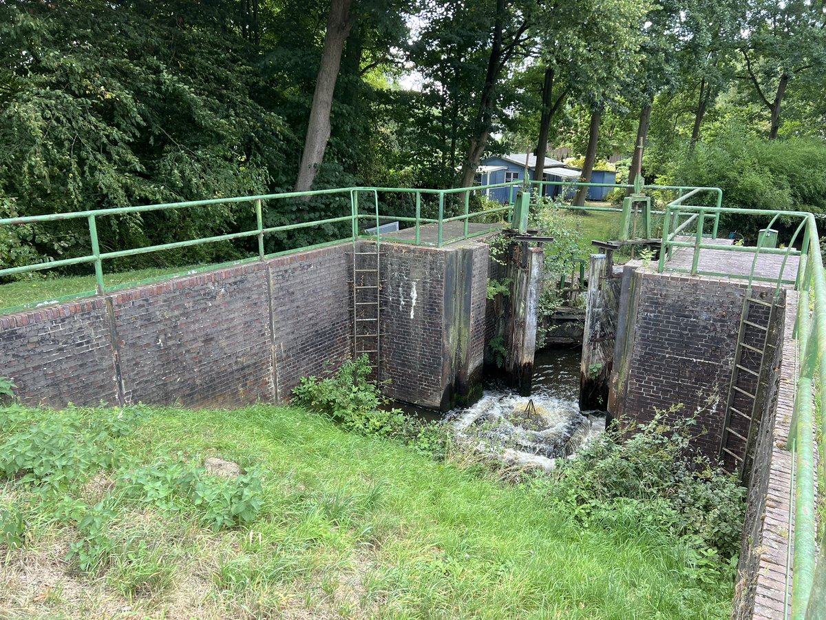 EC_NL's tweet photo. Vanochtend de @loopmaatjes👟 aan voor 32,6km zomer-duurloop🥵🌤️ @bremen_de #Blockland, maar ik moest het laatste stuk wandelen ivm kuitpijn…😢 Nou ja, de omgeving was wél mooi, favoriet bij @hardloopvriend'en en @fietsmaatjes. @Lopen_is_leuk toch! https://t.co/D3Trs2npUz