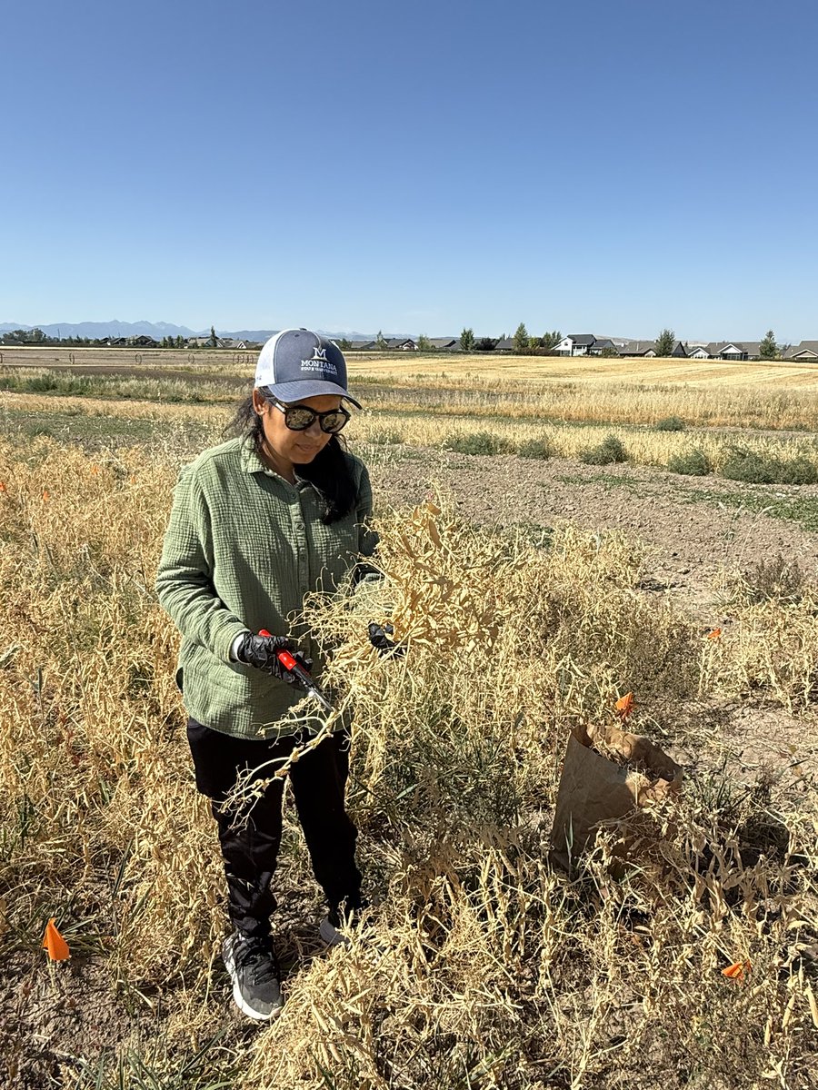 Ruby Tiwari, PhD tweet media