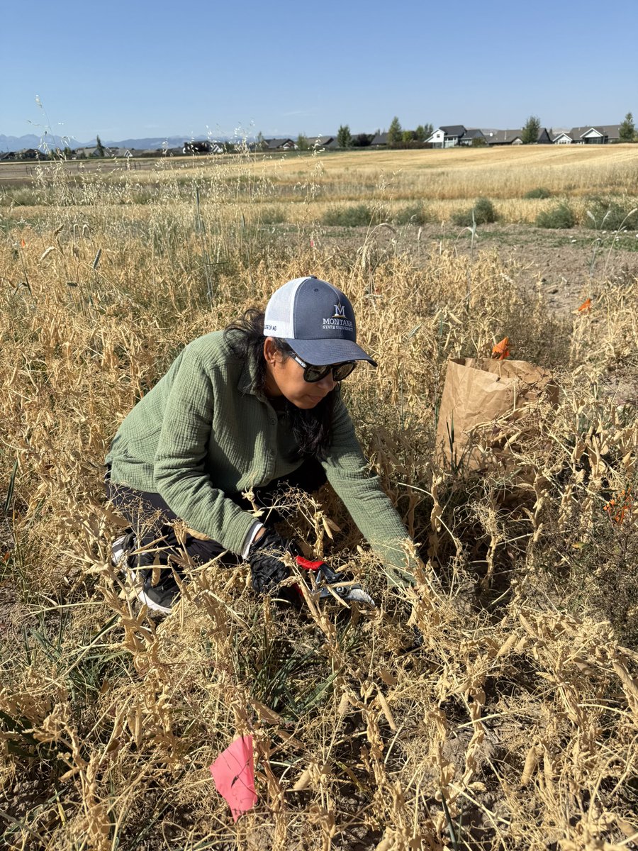 Ruby Tiwari, PhD tweet media