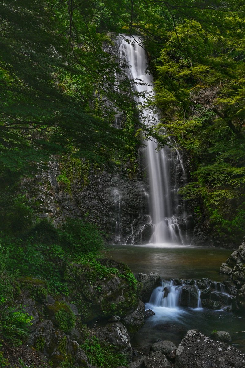 doherty_conor's tweet photo. Minoh Falls 🗾
📸 Nikon z6iii
f13
1”
ISO: 100
Nikkor Z 24-77mm with Neewer ND16 lens filter
#nikon #nikonphotography #photography #japan #asia #nikonjp #waterfall #slowshutterspeed #minoh #ndfilter https://t.co/CB4buEVXK2
