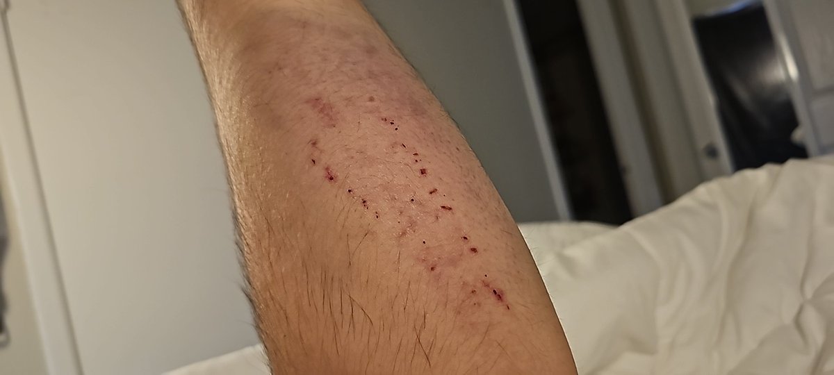 Just some grab nothing huge