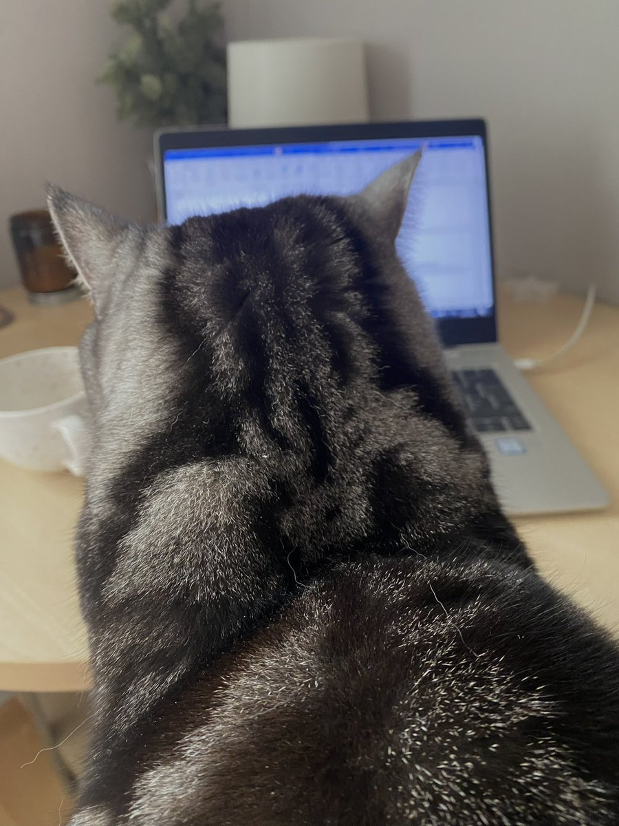 Вчора було багато питань, тому розказую, як купити акції американських, європейських чи українських компаній на фондовій біржі. Це не так легко, як купити ОВДП, але законно і доступно кожному українцю,який вміє користуватись смартфоном і має заощадження в іноземній валюті. Отже👇