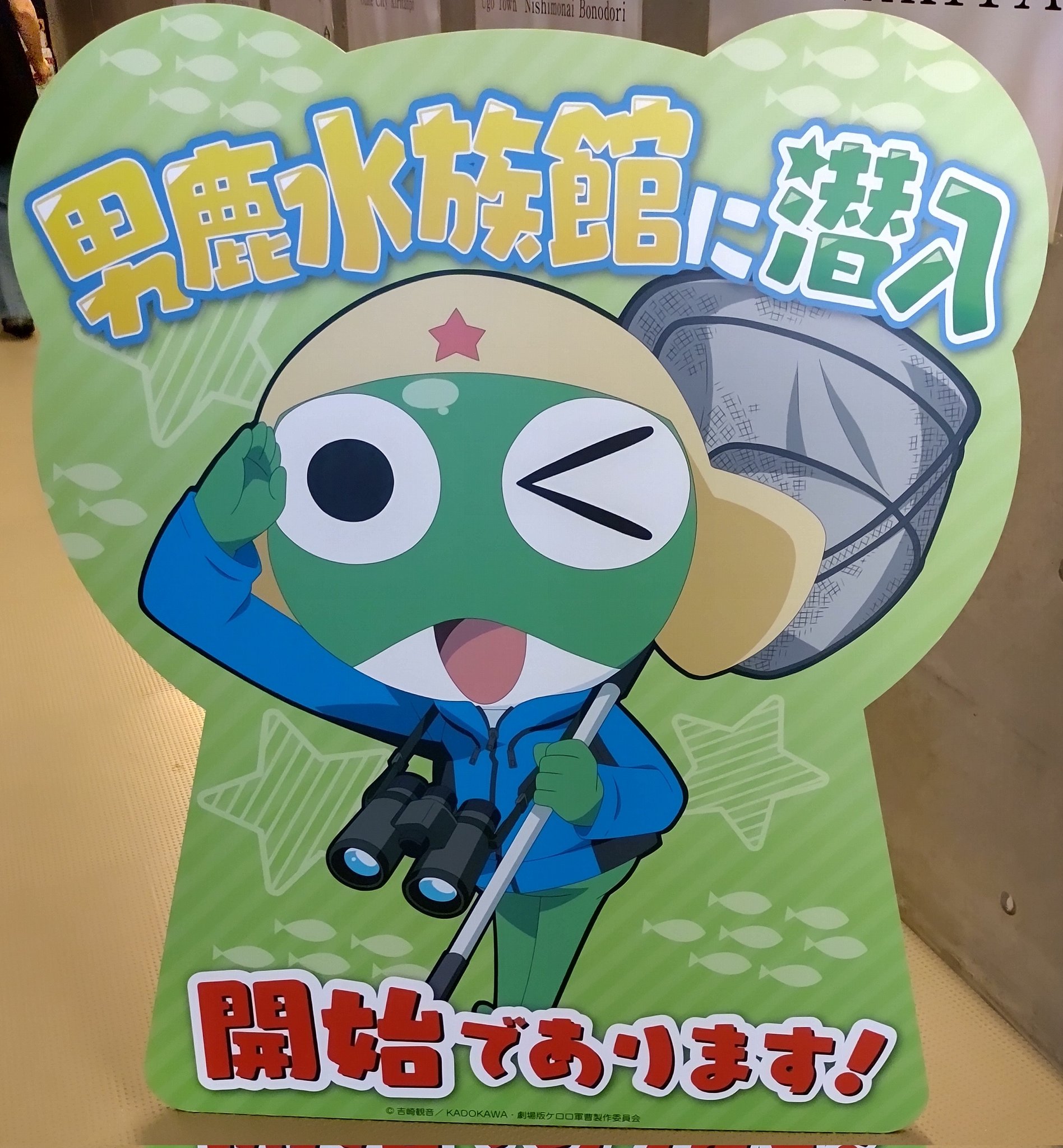 ケロロ軍曹　男鹿水族館GAO 限定ステッカー ケロロ軍曹 男鹿水族館GAO 限定ステッカー ケロロ軍曹 Animation