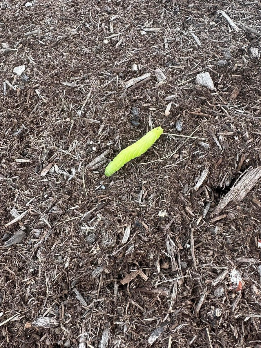 Father Jim Sichko tweet media