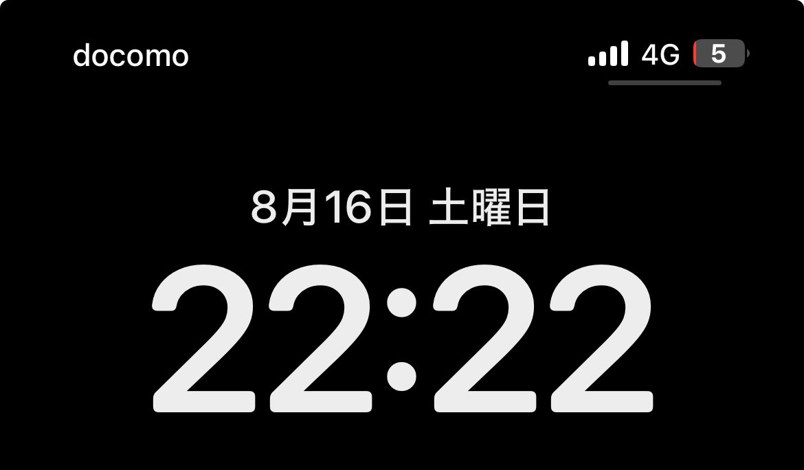 momoka様☆確認用 Momoka様ご確認ページ(レビューブックカバー )