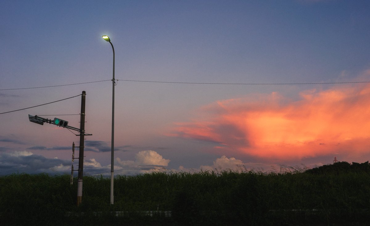 ごりかめ️️️ 𖤐⸝⋆ (@goricame_jp) on Twitter photo 