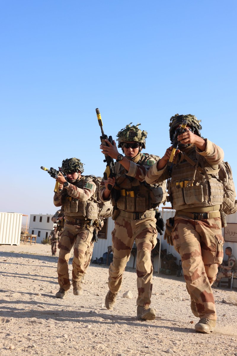 2eEtranger's tweet photo. 🐍 Phase 1 : Exercice Rattlesnake
Entraînement intensif en combat urbain au niveau groupe. #Rattlesnake #CombatUrbain #USMarines #Anglico #4eCie https://t.co/mGnToIgsee
