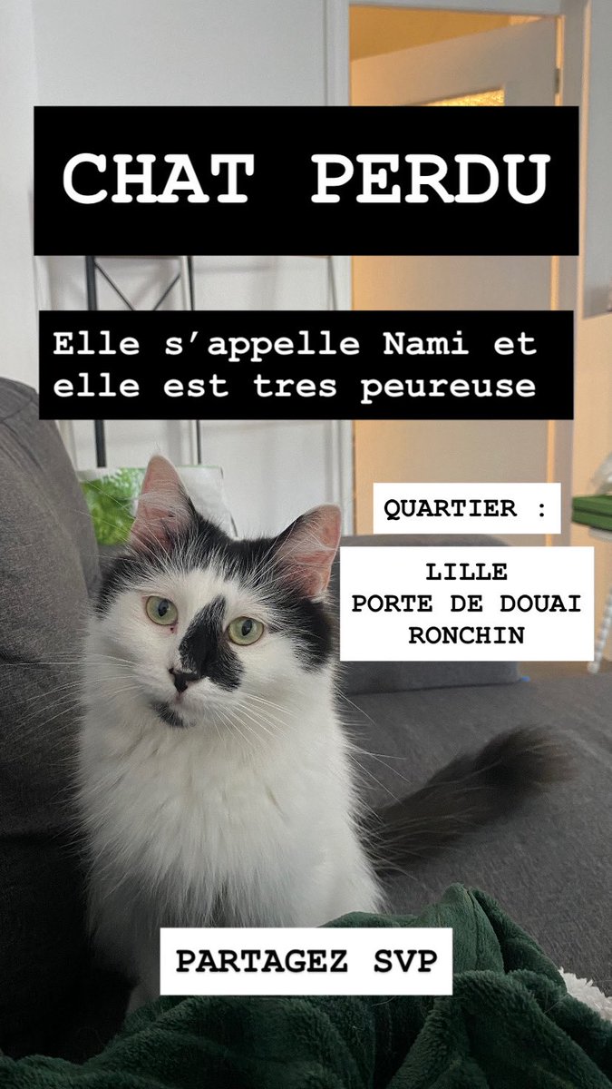 RT SVP