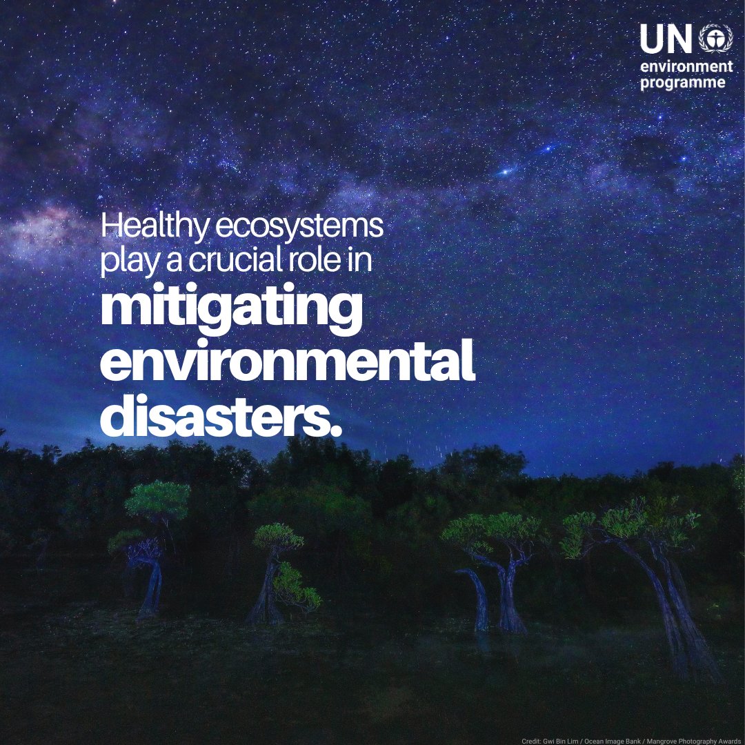 UN Environment Programme tweet media