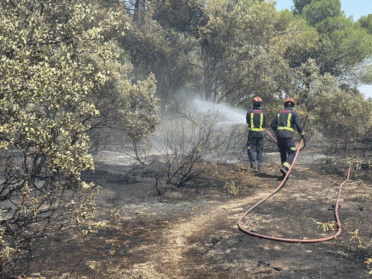 112 Comunidad de Madrid tweet media