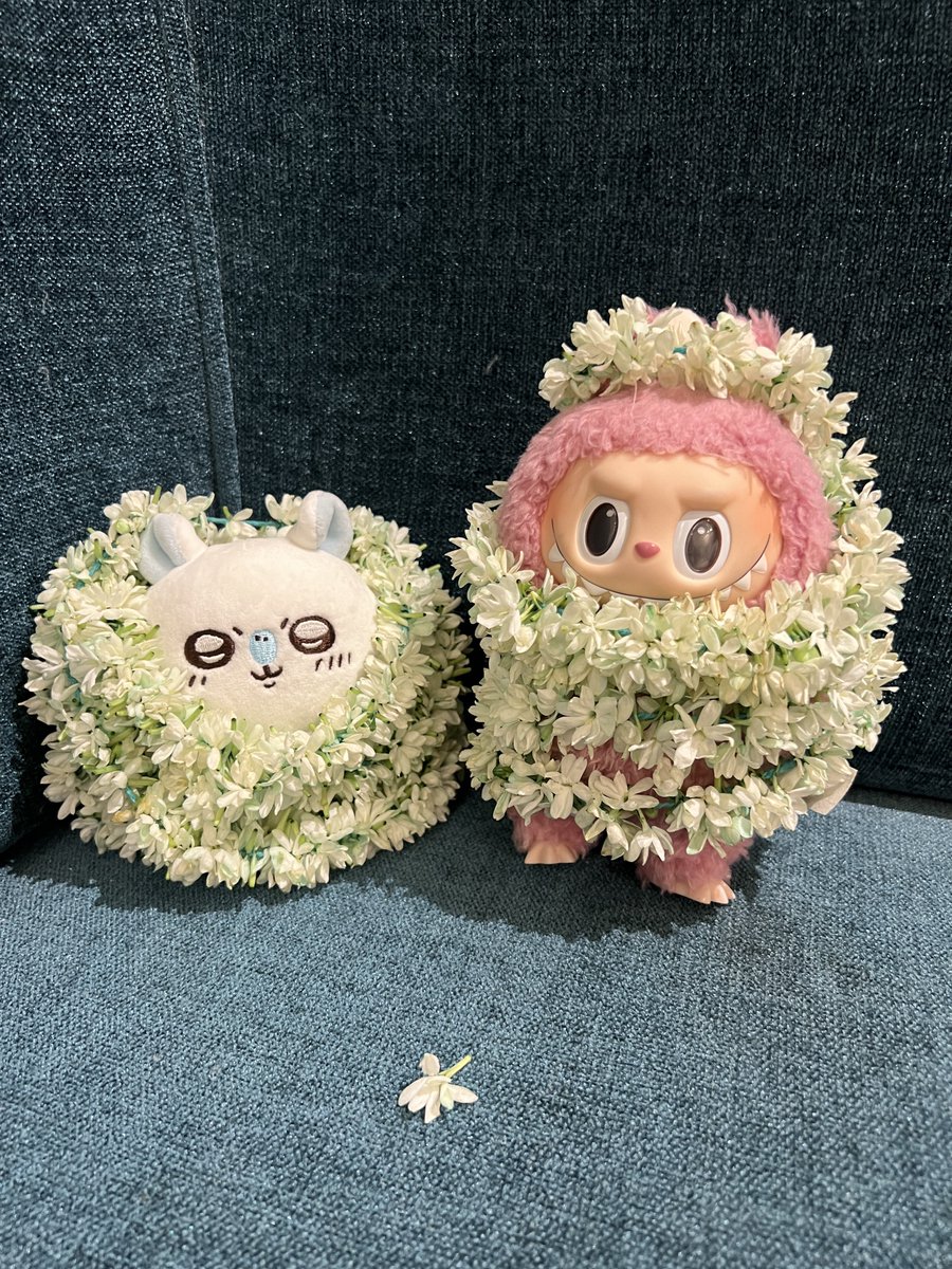 ジャスミンのお花もらったｯ