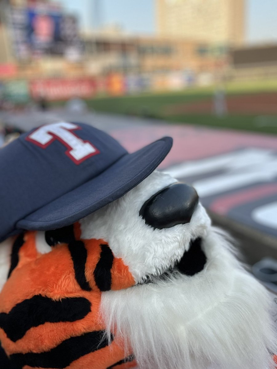 PAWS tweet media