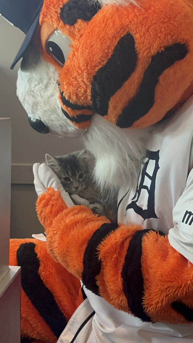 PAWS tweet media