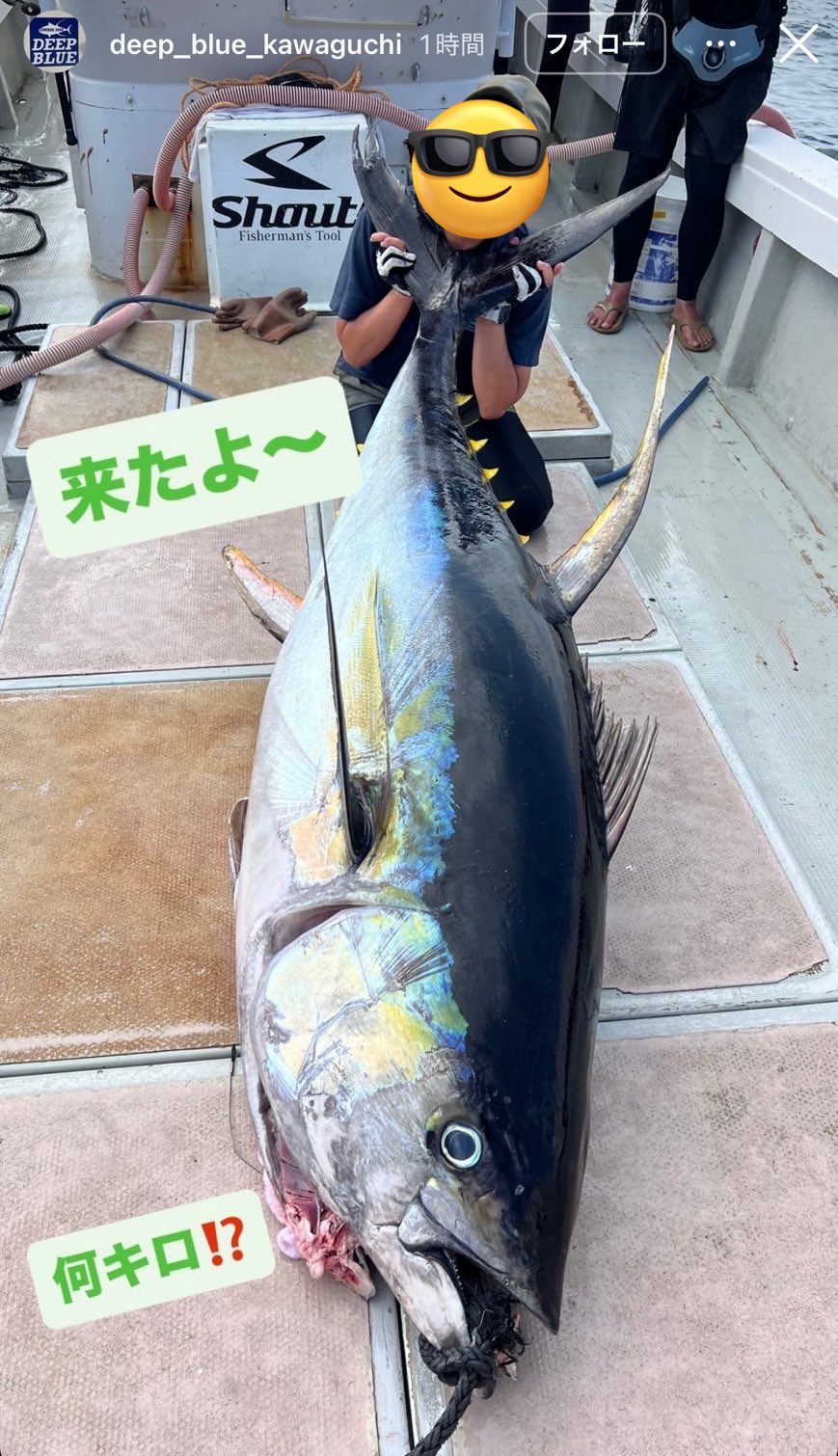 ペペロンチーナ　25.0㎝ 楽天市場】ペペロンチーノ / 60g【 富澤商店 公式 】 : 富澤商店