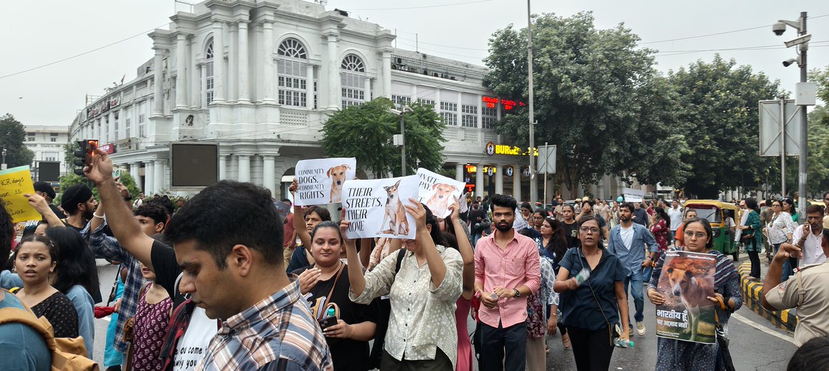 #DogLovers protest in #connaught_place, #new_delhi 
Against the order of the Supreme Court in which it has asked to clear the streets of Delhi from stray dogs.
