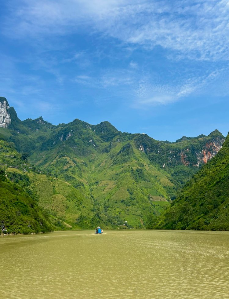 RandomN65254400's tweet photo. @Benzeminho216 Ne l’écoutez pas, je viens de rentrer de la Thaïlande et du Vietnam, les deux sont incroyables, mention spéciale Ha Giang Loop, un tour en moto de 3 jours dans la province vietnamienne.
N’écoutez pas quelqu’un qui fait un truc aussi beauf que de donner à manger aux éléphants https://t.co/aRSfBgWmZw