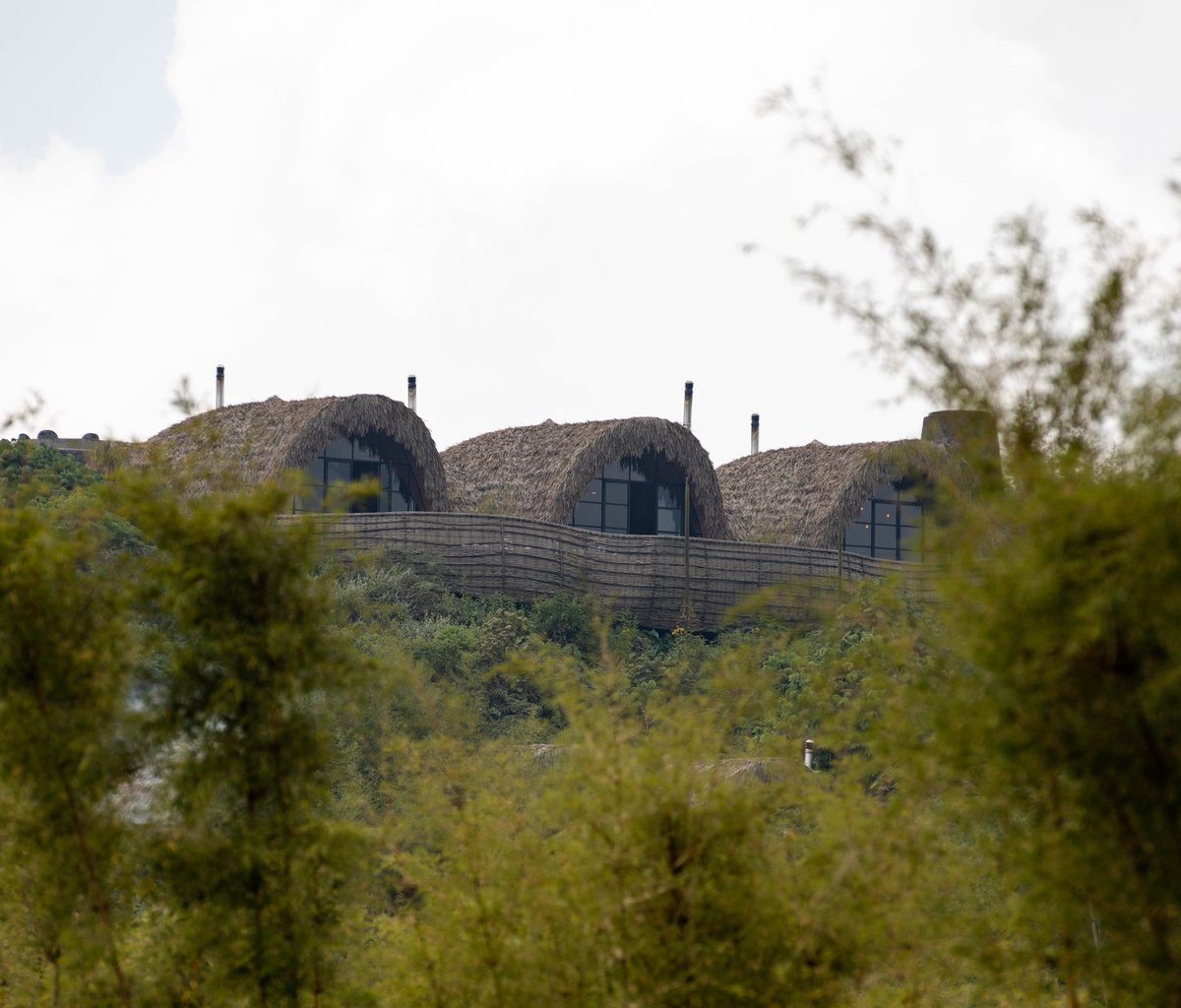 “Go where you feel most alive.”

#visitrwanda🇷🇼

📷