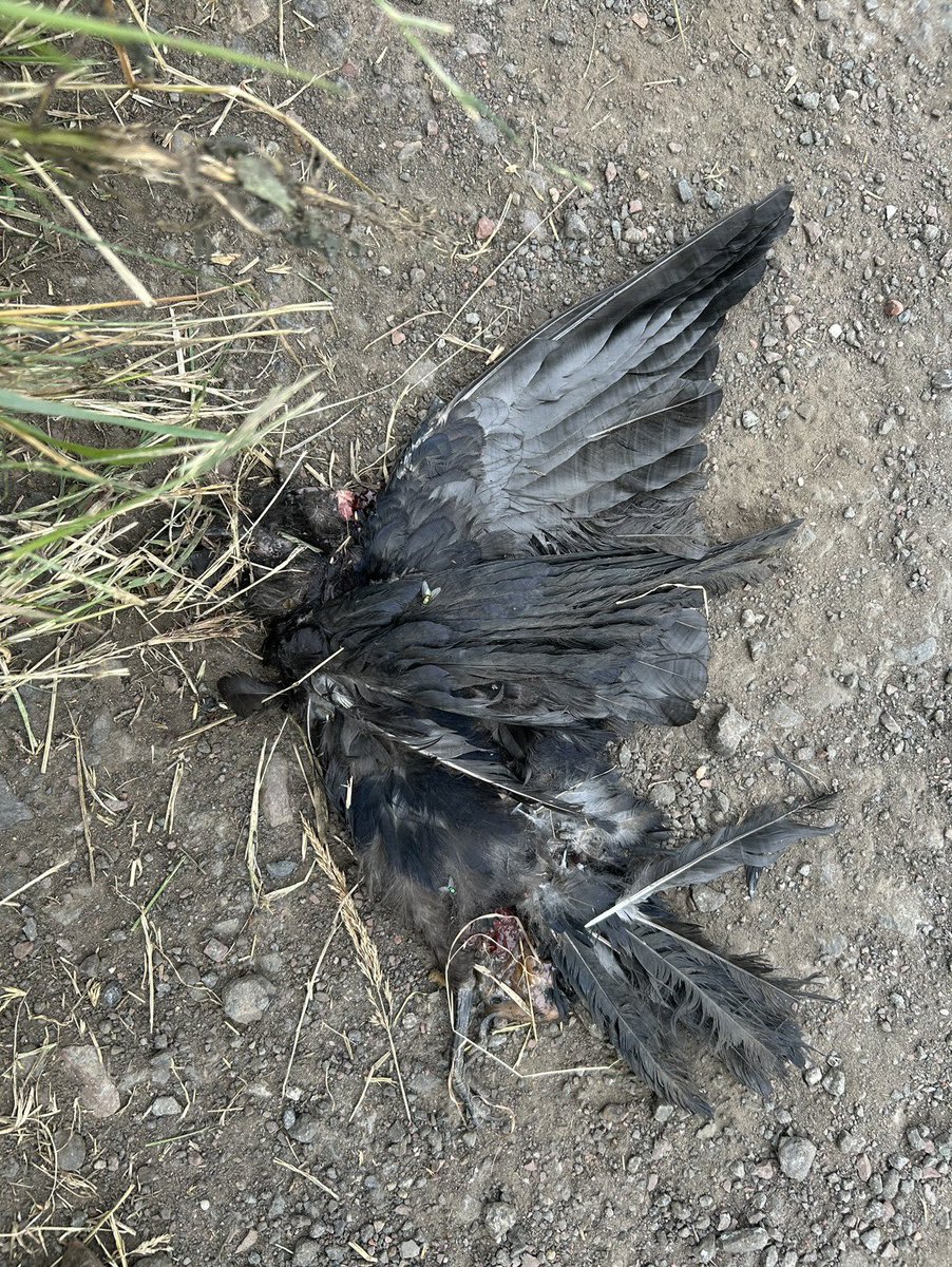 𝔈𝔯𝔦𝔫 tweet media