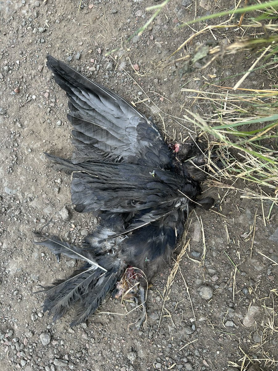 𝔈𝔯𝔦𝔫 tweet media