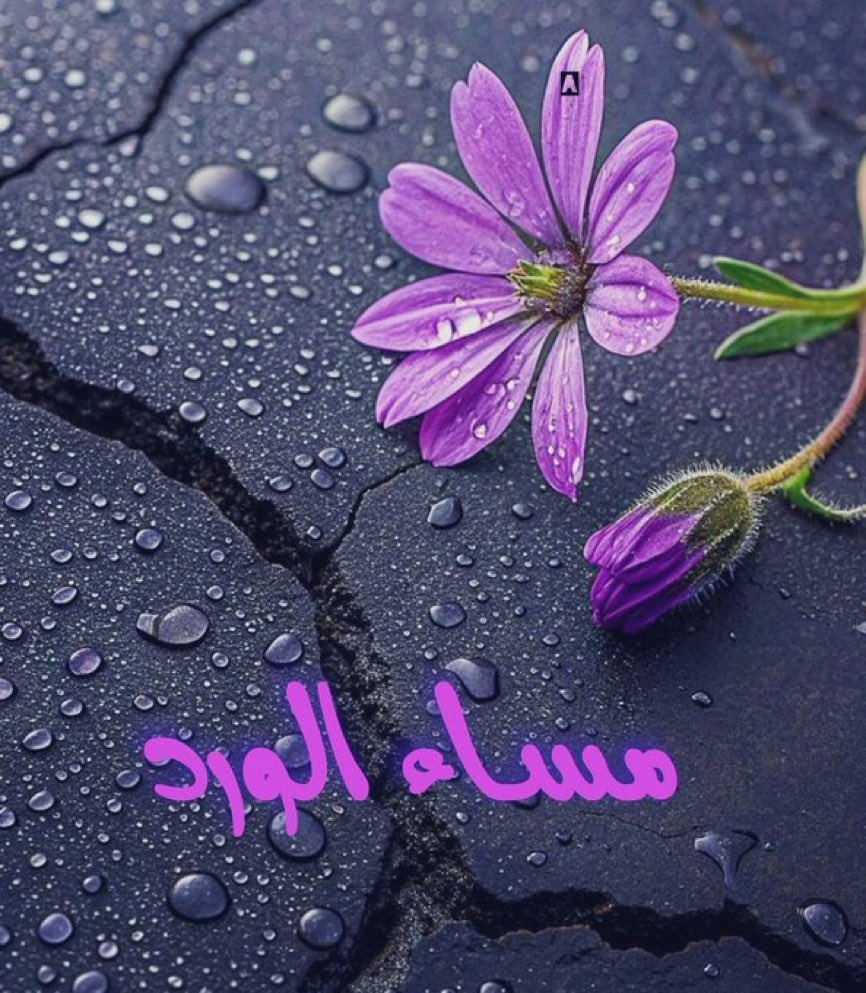 ام خالد tweet media