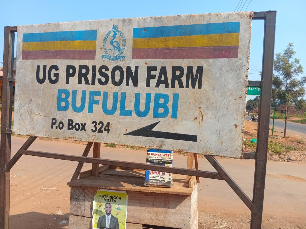 biofarm_UG's tweet photo. The Biofarm cotton trial at Bufulubi prison farm is showing good progress despite the long dry spells there, with optimal crop performance and promising yields. #Biofarm #UnodeAgro #2025Projects #CottonFarmers https://t.co/a8bMcLULbH