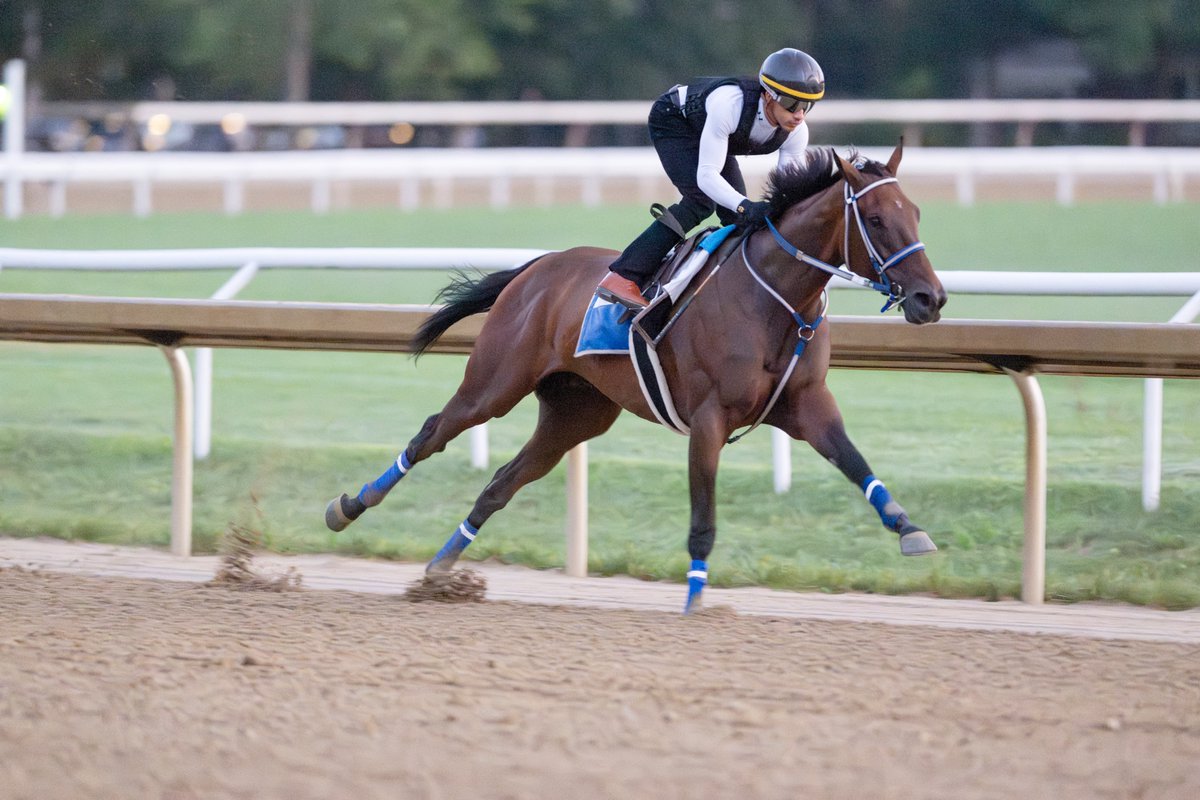 Erica Miller tweet media