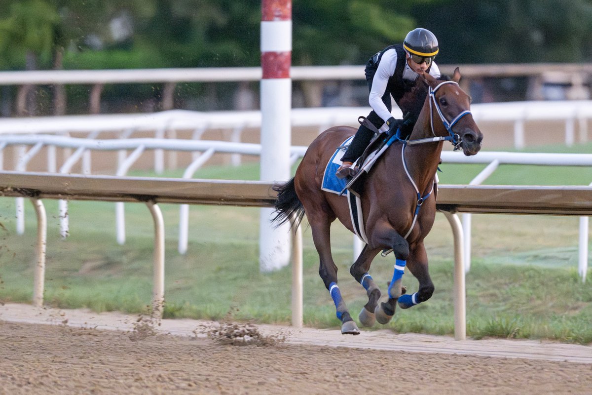 Erica Miller tweet media