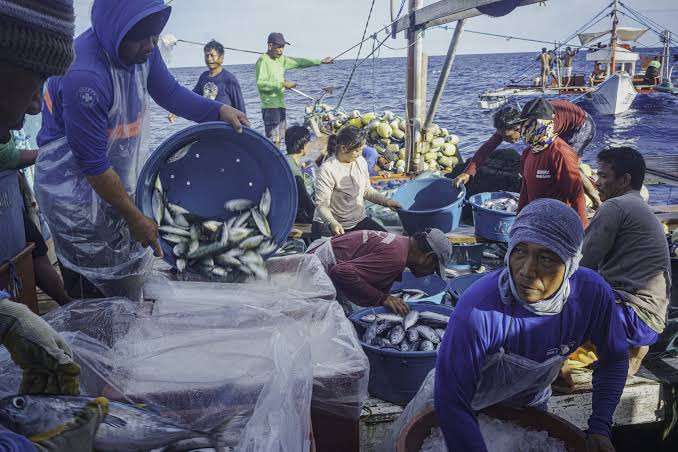 WatchOrSkipIt's tweet photo. Food Delivery: Fresh from the West Philippine Sea (2025): Required Viewing

#FoodDelivery brings to the surface the need to reaffirm sovereignty — securing not just territory through our maritime forces, but also the livelihood of ordinary fisherfolk, powerfully conveyed through their lived experiences.