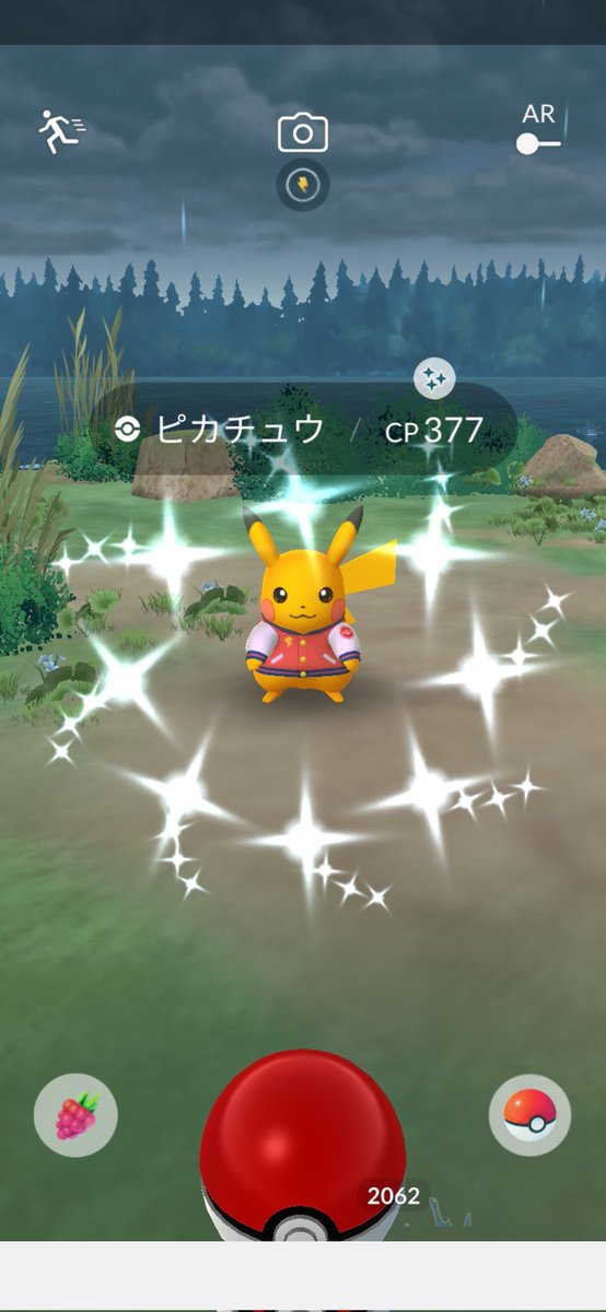 TachuyaKun's tweet photo. やっと色違い出た✨
✨色違いアップボーナス実感⤴️🫶
 #ポケモンGO
 #ポケモンGO色違い https://t.co/zhb8H7Dgfb
