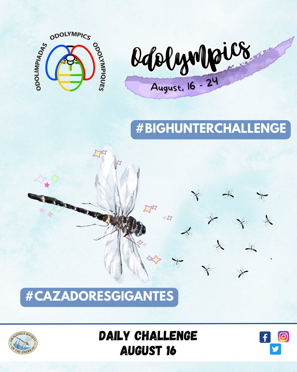 The #odolympics start today, grab your net and join us in recording as many dragonflies as possible. Today's challenge is #bighunterchallenge

Upload your records to:

🐦inaturalist.org/observations?p…

OR

🎯 odonatacentral.org/#/