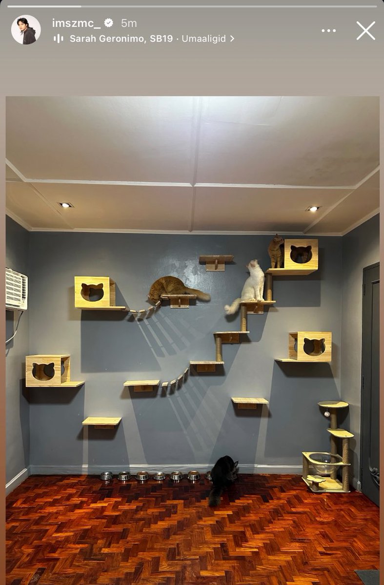 [ PABLO IG STORY ]

Umaaaligid ang mga cats sa kanilang new place ☺️

📸imszmc_

<a href="/SB19Official/">SB19 Official</a> #SB19
<a href="/imszmc/">PABLO</a> #SB19_PABLO