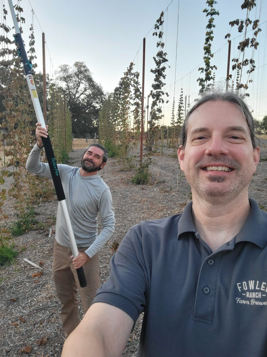 Harvest day! Freshest wet hop brew ever!