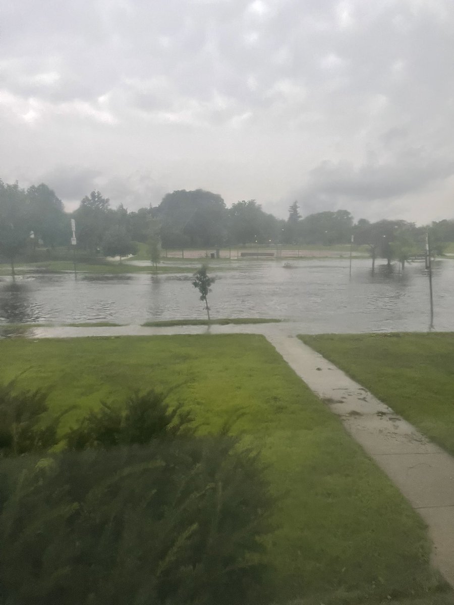 Docdrewb's tweet photo. @NWSTwinCities  this was the flooding on Chicago and 57th this am. Doggo loved it https://t.co/x9lndcF8wG