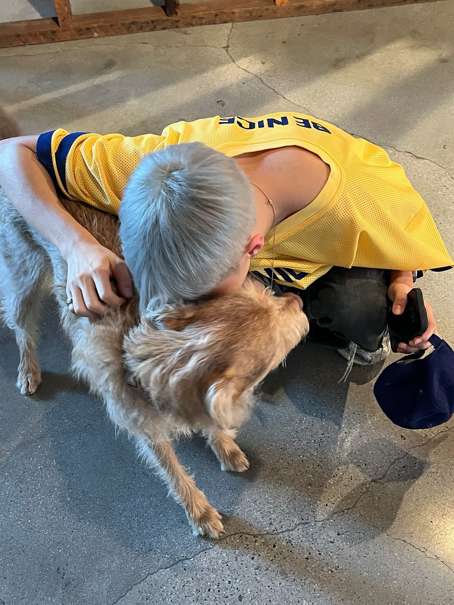 Soonyoung, K. #𝗕𝗘𝗔𝗠 (@soonygkwon) on Twitter photo 