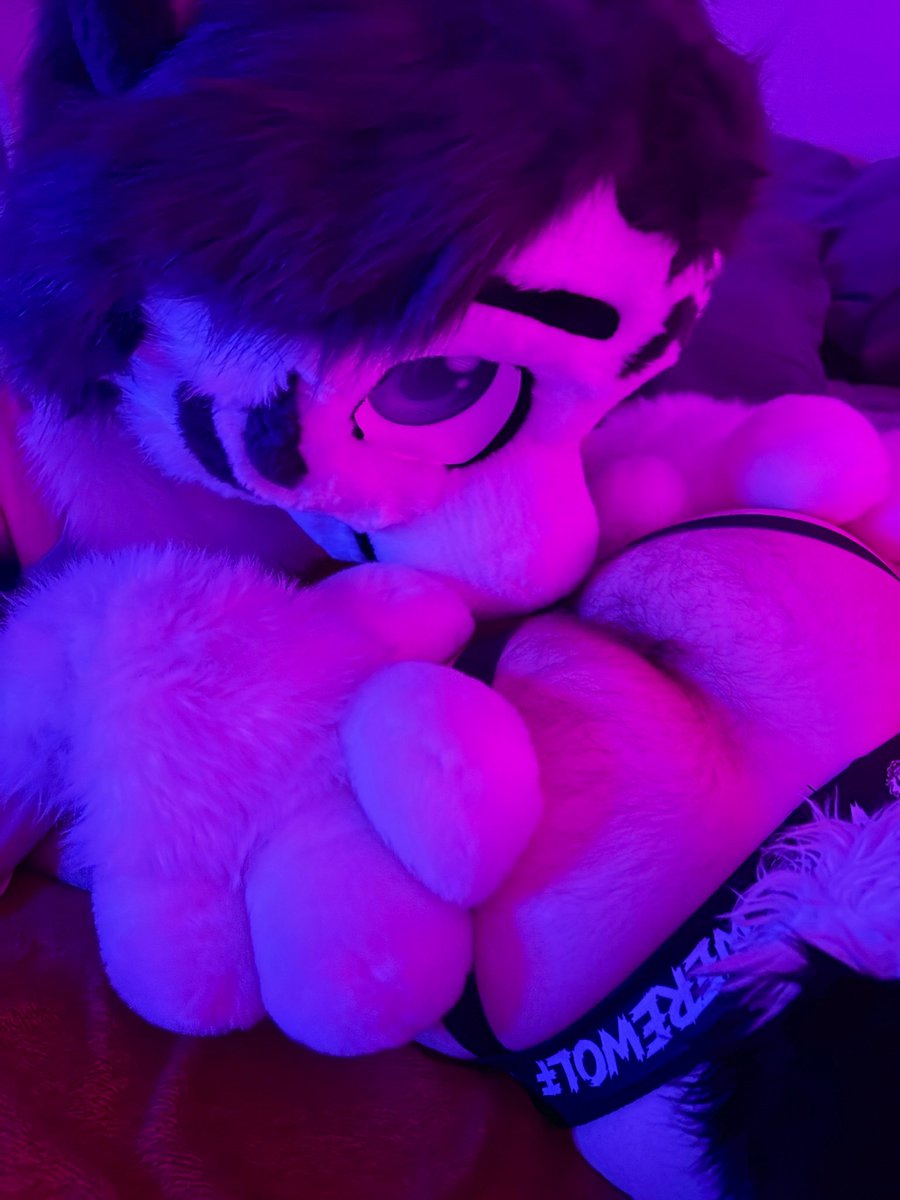 Looks like someone left some cake on the bed~ 🎂 w/ @PiercedBBerry 

📸 - <a href="/BunnyApollo/">Apollo Bunny</a> 

#Furry #Fursuit #FursuitEveryday