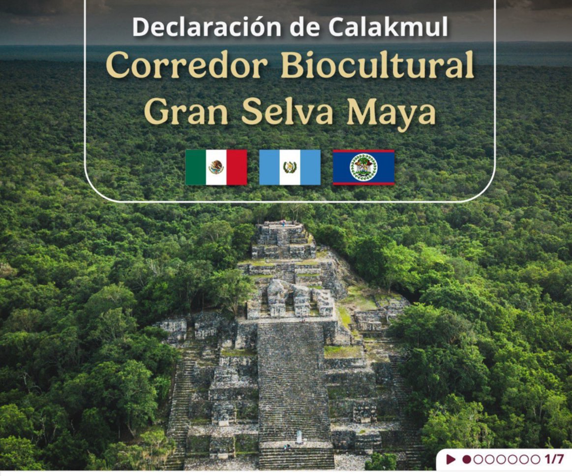 Lauraggils's tweet photo. ¡Qué gran logro de @Claudiashein, @BArevalodeLeon y @JohnBricenoBZE! Nuestras @MisionMEXOEA, @GuatemalaOEA y misión de Belice están de festejo por la Declaración de Calakmul. Abro hilo. https://t.co/3jF0yl9G5w