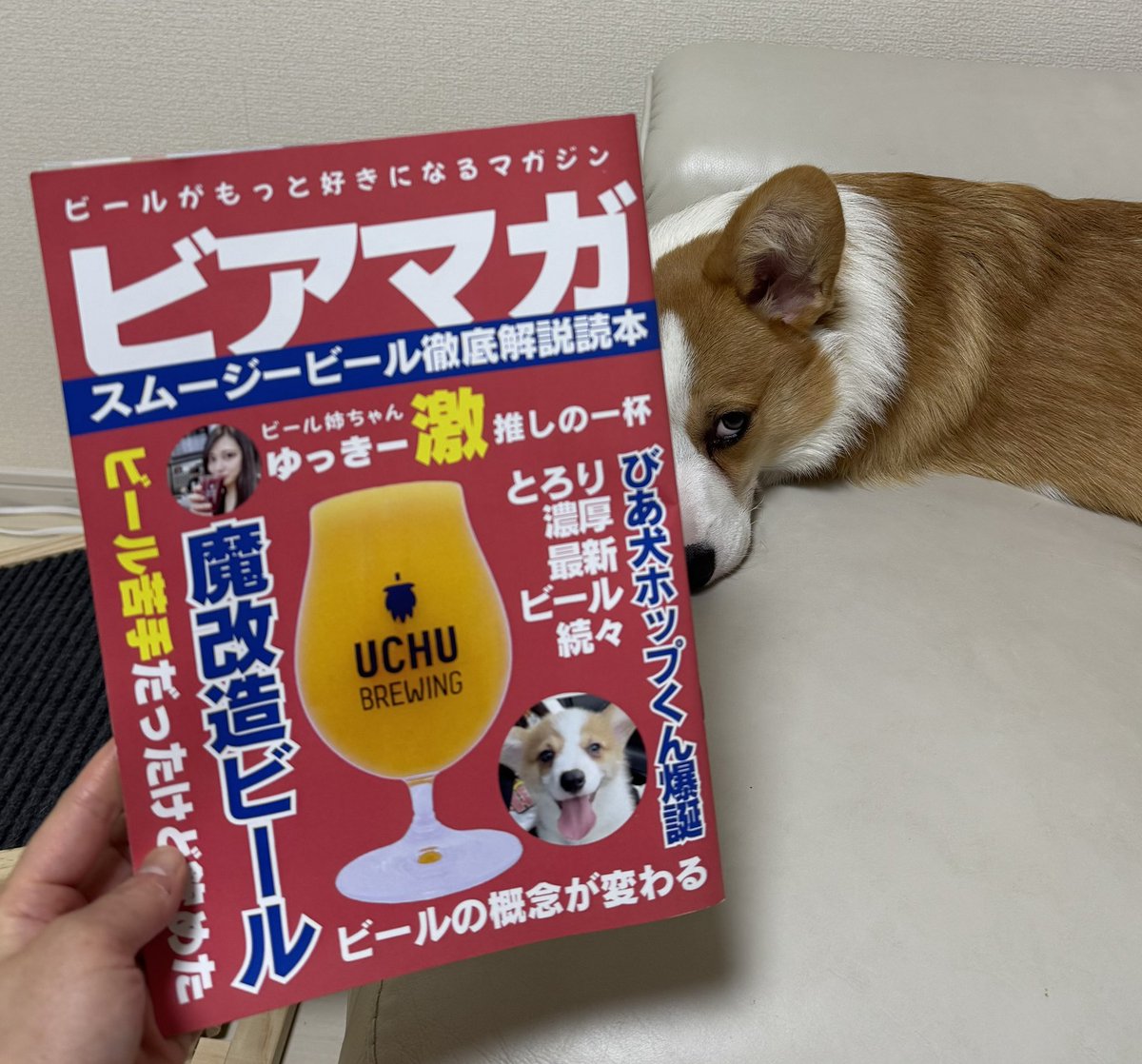yuckey_brewing's tweet photo. コミックマーケット106 日曜 東館 ナ03b グルメ評論島でクラフトビール本販売します🍻

新感覚のスイーツビール『スムージービール』の徹底解説本🍓フルカラー✨
ビール苦手な人でも飲める一杯を紹介
魔改造ビールレシピ等

購入時｢ﾂｲｰﾄ見たよ｣でステッカープレゼントします❣️
 #C106  #コミケ https://t.co/qAWvuRDUCj