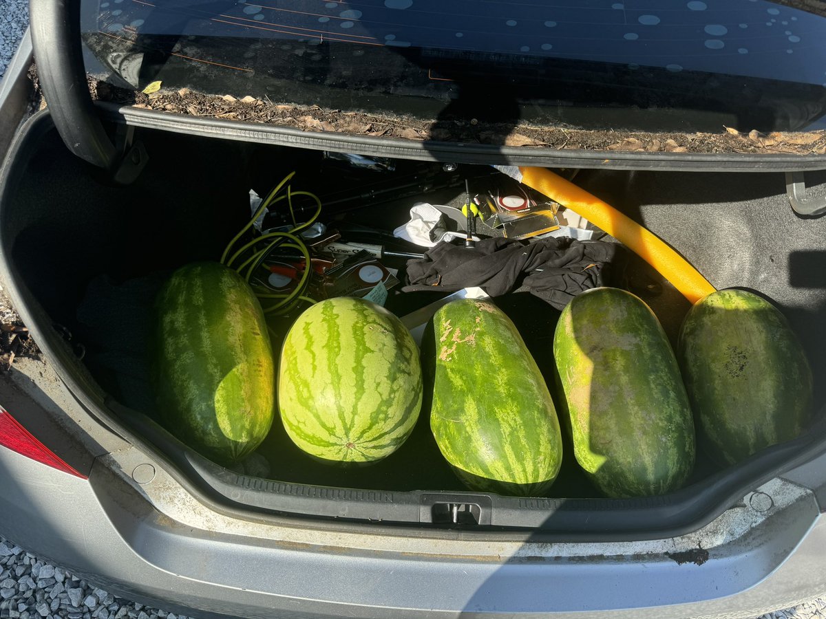 STASH 🍉🍉🍉🍉🍉🍉🍉🍉🍉