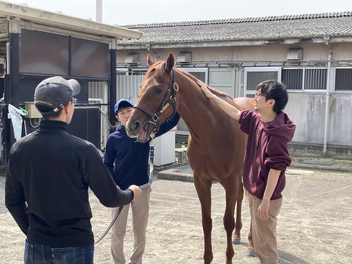 Congratulations🥳
#アロヒアリイ 
#田中博康厩舎