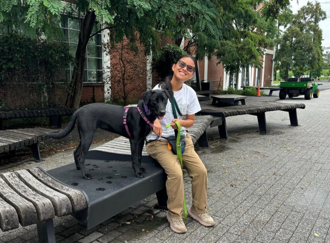 F&amp;M junior Mia Feola has always felt a calling to work with animals. This summer, she took a step toward transforming that ambition into a fulfilling career with an internship at the Penn Vet Working Dog Center (PVWDC). #TheWorldNeedsDiplomats

pulse.ly/gwq6wvqrdb