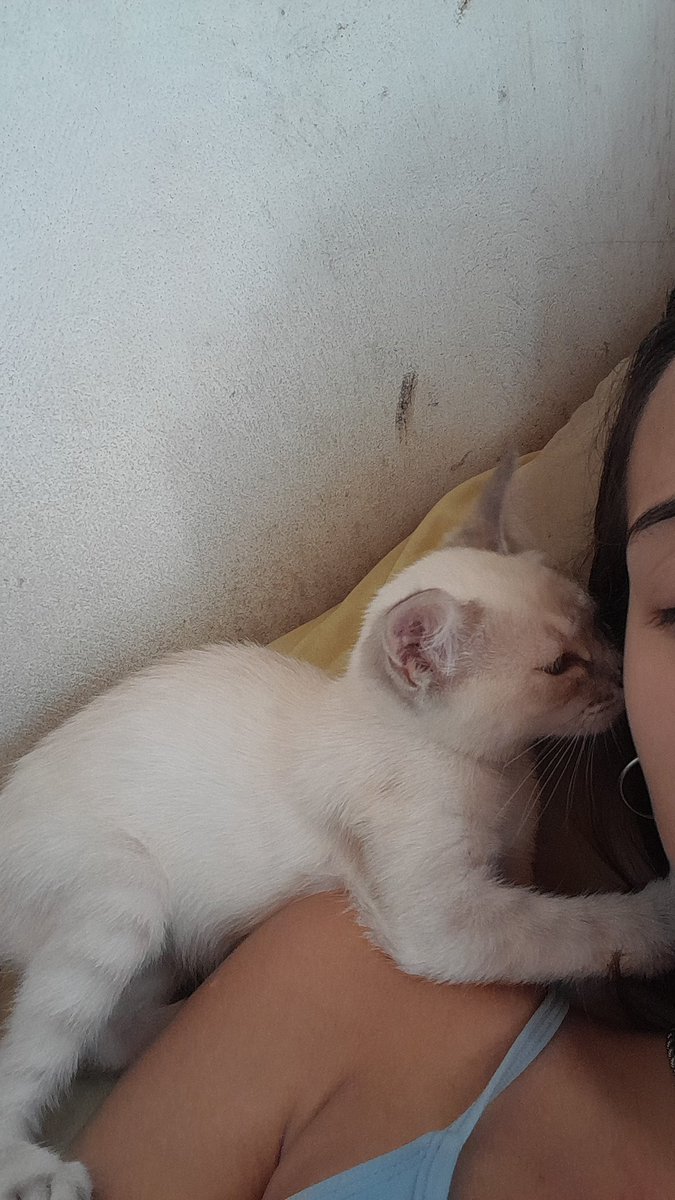 Agus_bz_'s tweet photo. te voy a amar para siempre mi bebé chiquita🤍 https://t.co/690j4i3EUY