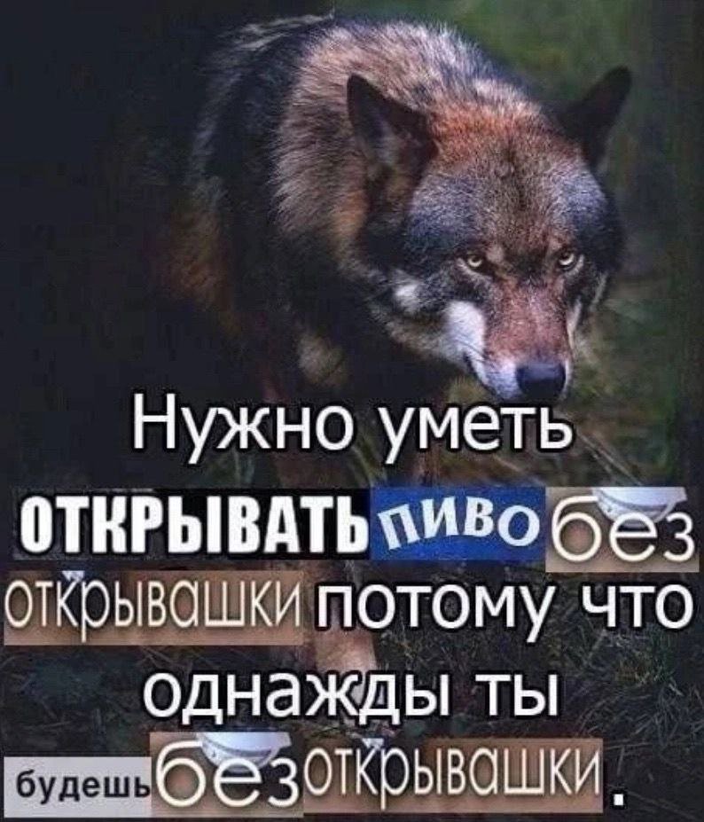 Лень придумывать нормальное имя (@boringsquid) on Twitter photo 