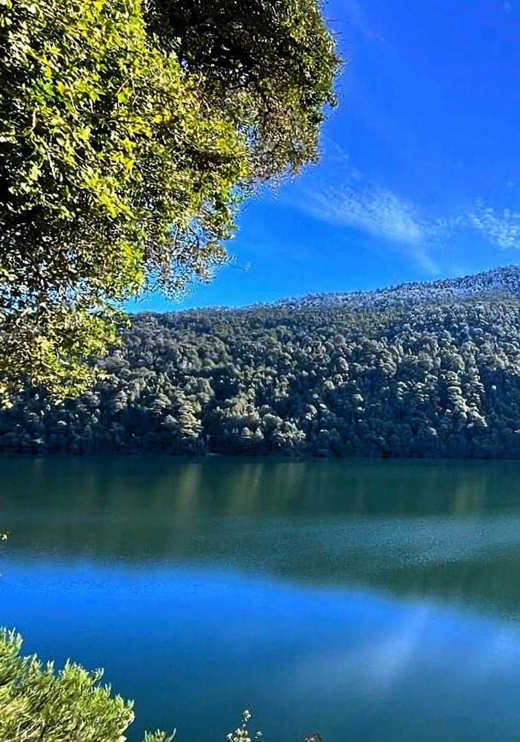 LoveSongs4Peace's tweet photo. Serene Lake Tinquilco on a beautiful 2024 summer day in Huerquehue National Park, Araucania region, Chile  🇨🇱 https://t.co/Nl3UIbN8Ea