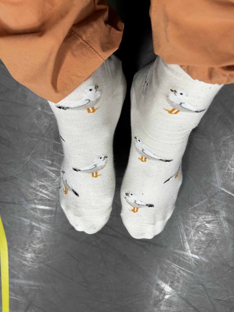 『銀河鉄道の夜』の練習した！
今日は最初から最後までやりました！よそのシーンがとてもすてきで、わたしは今作のおとなとして、しっかりしよう！とおもいました！おたのしみに！
写真はいつかのわたしのくつしたです！においますか！？におわせです！わたしのくつしたのかおりをお嗅ぎあそばせ！