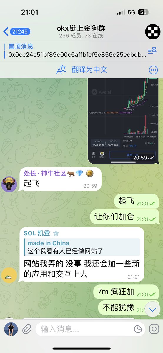 大帝 tweet media