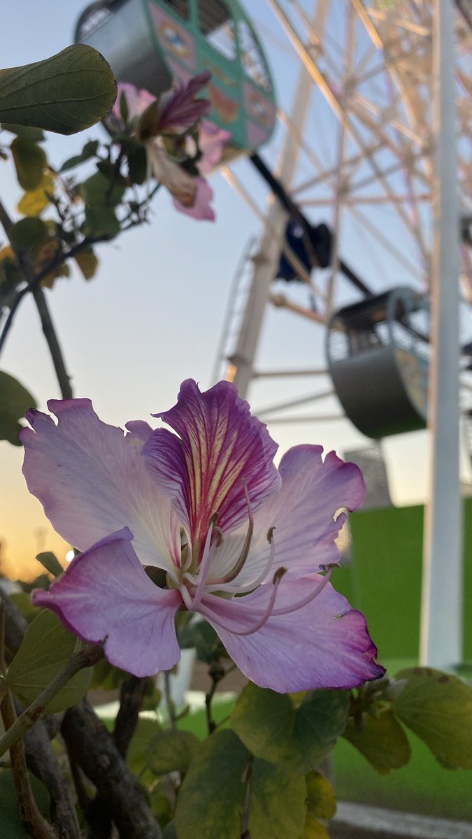 — En fin todo es gracias a Dios ¡Buenos días!✨️