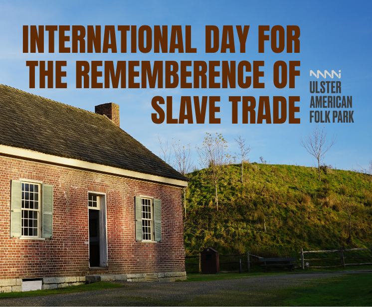 African American Irish Diaspora Network tweet media