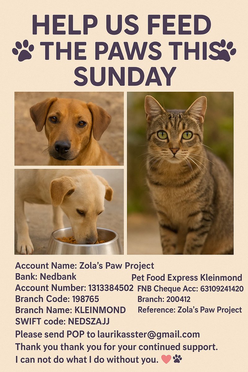 Tomorrow is going to be a very challenging day for me. Last week I bought most of the food myself (so no funds again to myself for tommorow), my friend I usually borrow a truck from has moved to Paarl, and most of my volunteers are down with the flu.
Any support—big or