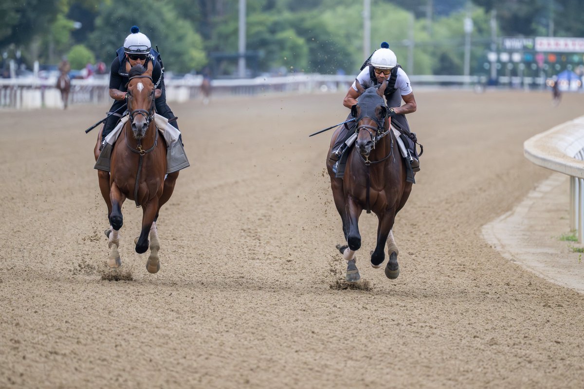 Erica Miller tweet media